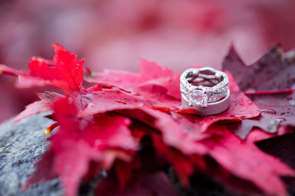 wedding rings and an engagement ring on top of the fall red leaves during peak season