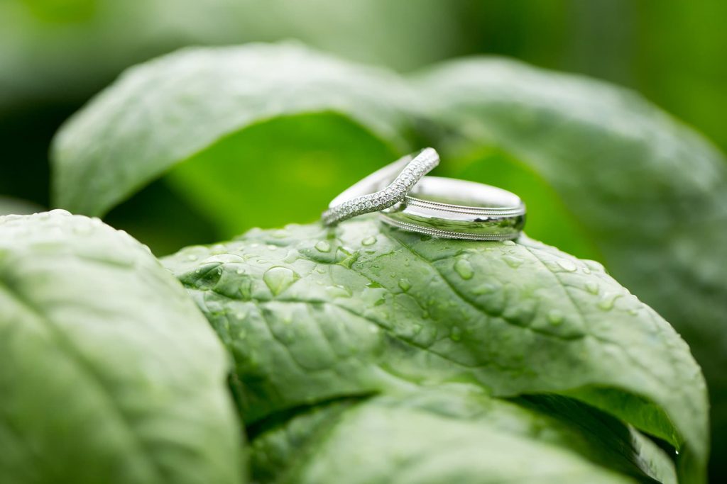 rings sitting on spinach that has water drops on it
