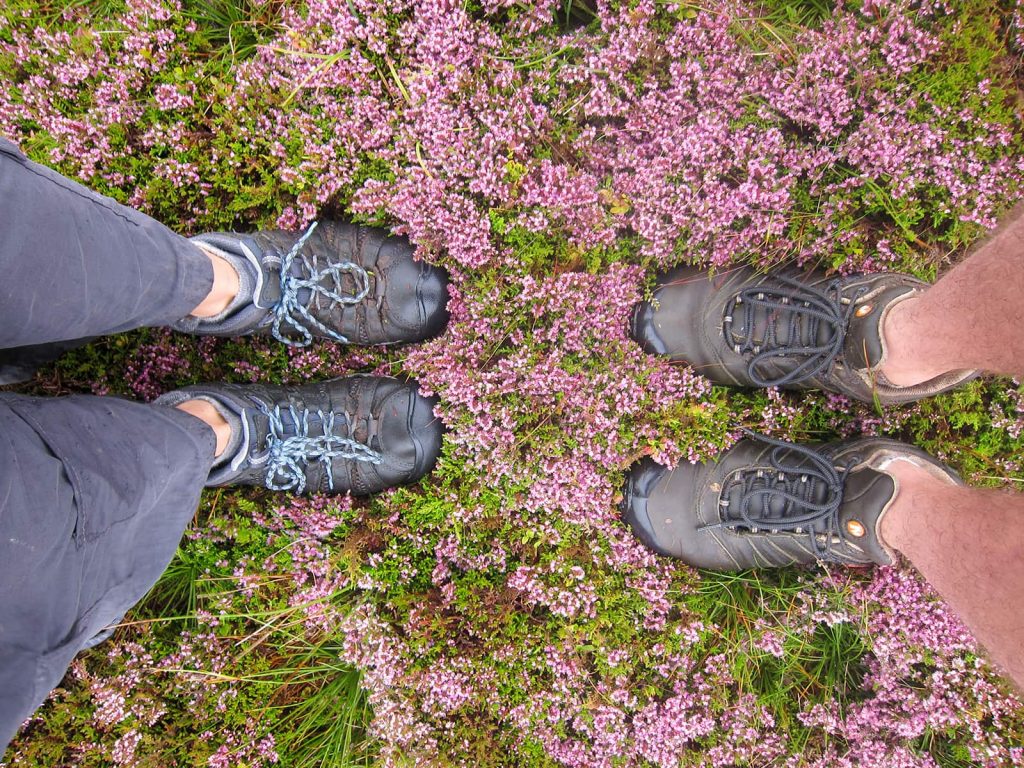 standing in the bog in a field of pink flowers