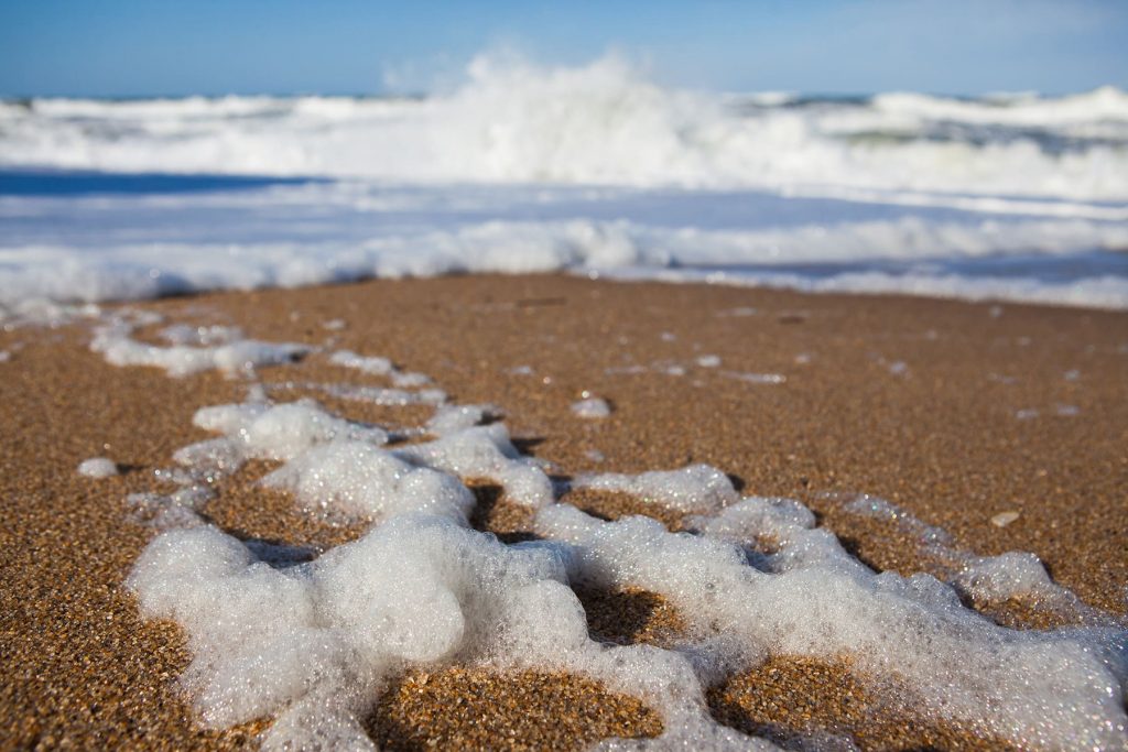 the foam from the salt water on the beach during low tide in the United States